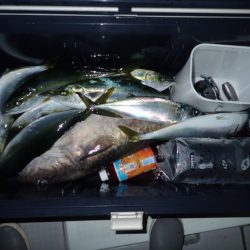 Aquanaut(アクアノート) 釣果