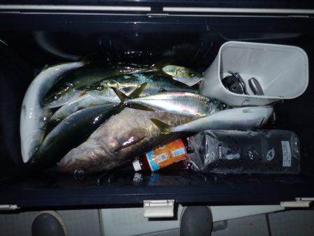 Aquanaut(アクアノート) 釣果