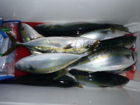 Aquanaut(アクアノート) 釣果