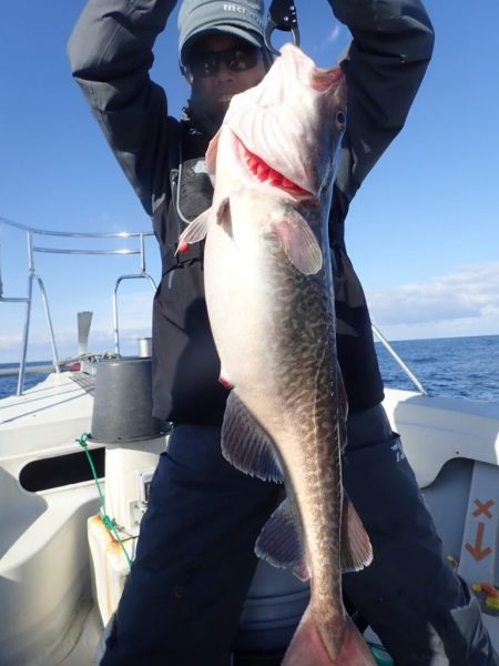 Aquanaut(アクアノート) 釣果