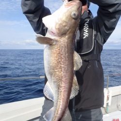 Aquanaut(アクアノート) 釣果