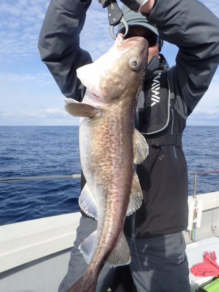 Aquanaut(アクアノート) 釣果