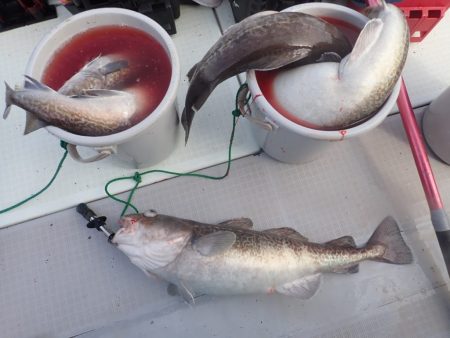 Aquanaut(アクアノート) 釣果