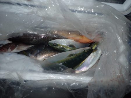 Aquanaut(アクアノート) 釣果