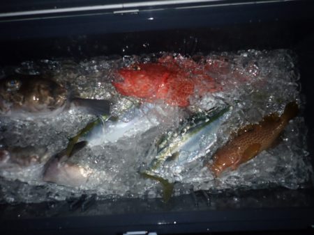 Aquanaut(アクアノート) 釣果