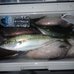 Aquanaut(アクアノート) 釣果