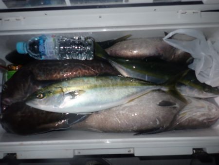 Aquanaut(アクアノート) 釣果