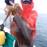 久勝丸 釣果