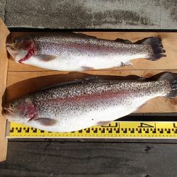 志高湖フィッシング 釣果