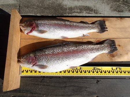 志高湖フィッシング 釣果