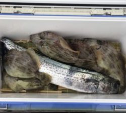 さぶろう丸 釣果