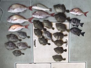 さぶろう丸 釣果