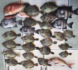 さぶろう丸 釣果