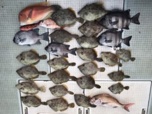 さぶろう丸 釣果