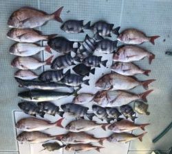 さぶろう丸 釣果