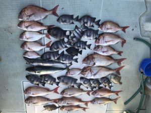 さぶろう丸 釣果