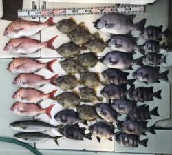 さぶろう丸 釣果