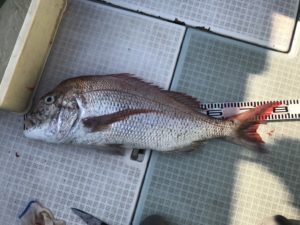 さぶろう丸 釣果