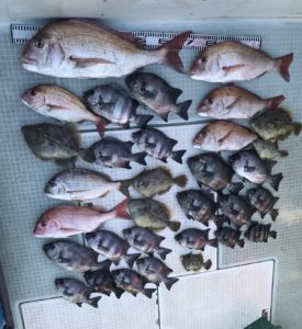 さぶろう丸 釣果