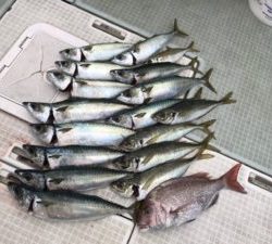 さぶろう丸 釣果