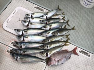 さぶろう丸 釣果