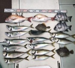 さぶろう丸 釣果