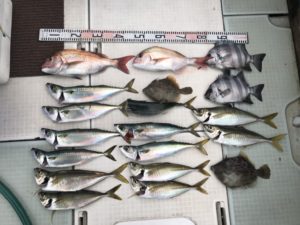 さぶろう丸 釣果