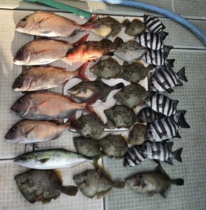 さぶろう丸 釣果