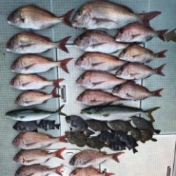 さぶろう丸 釣果
