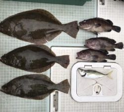 さぶろう丸 釣果