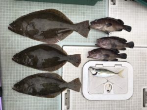 さぶろう丸 釣果