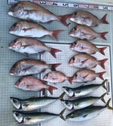 さぶろう丸 釣果