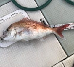 さぶろう丸 釣果