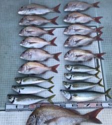 さぶろう丸 釣果