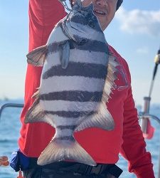 フィシングボートAir(エアー) 釣果