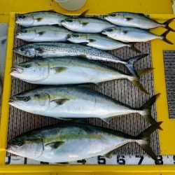 火遠理丸(ほおりまる) 釣果