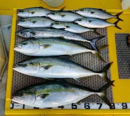 火遠理丸（ほおりまる） 釣果