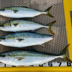 火遠理丸(ほおりまる) 釣果