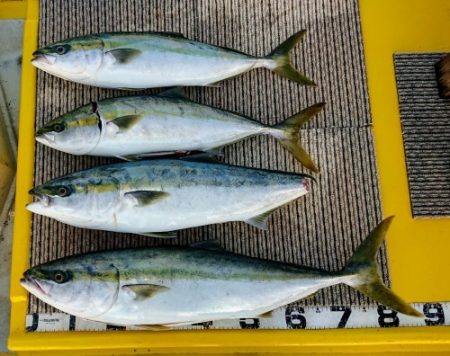 火遠理丸(ほおりまる) 釣果