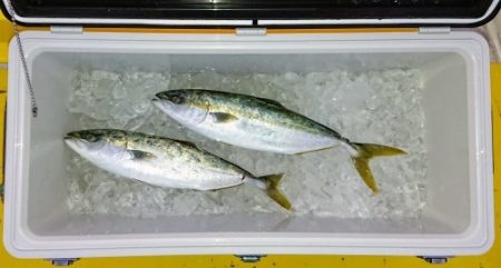 火遠理丸(ほおりまる) 釣果