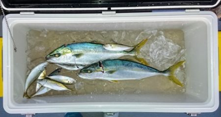 火遠理丸(ほおりまる) 釣果