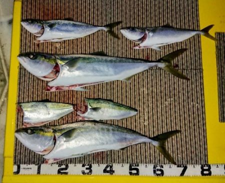 火遠理丸(ほおりまる) 釣果