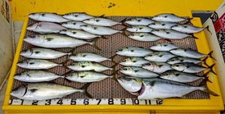 火遠理丸(ほおりまる) 釣果