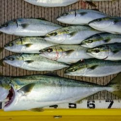 火遠理丸(ほおりまる) 釣果