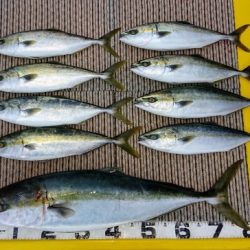 火遠理丸(ほおりまる) 釣果