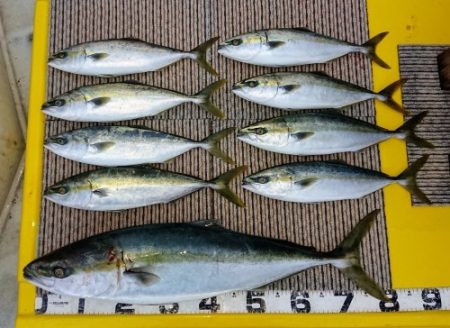 火遠理丸(ほおりまる) 釣果