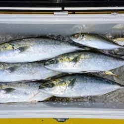 火遠理丸(ほおりまる) 釣果