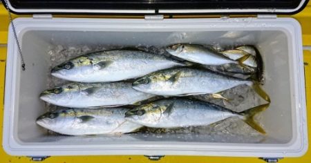 火遠理丸（ほおりまる） 釣果