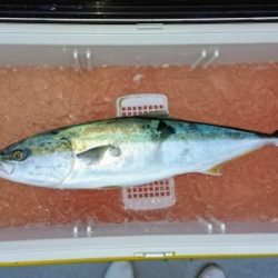 火遠理丸(ほおりまる) 釣果