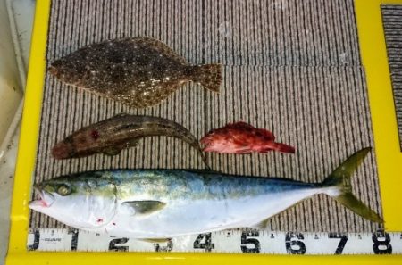 火遠理丸（ほおりまる） 釣果